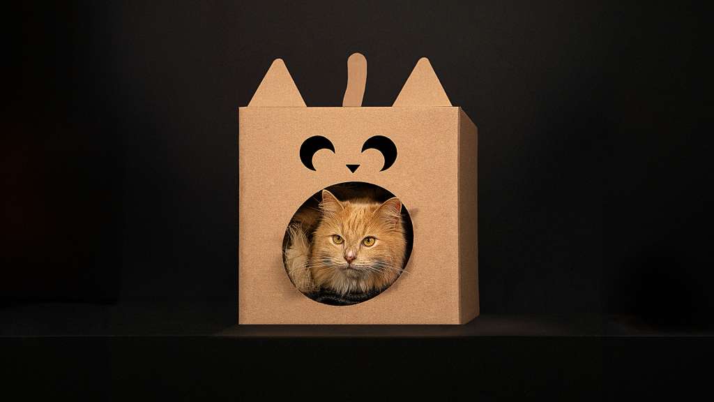 La empresa también ofrece versiones para gatos y permite a los consumidores personalizar las cajas con materiales comunes.