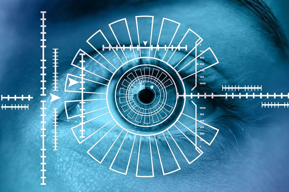 La biometría o sistema de autenticación utiliza como base los rasgos fenotípicos de la persona y así valida su identidad.
