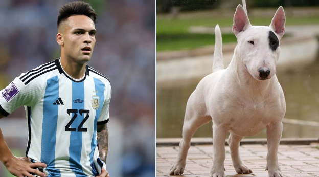 Lautaro Martínez