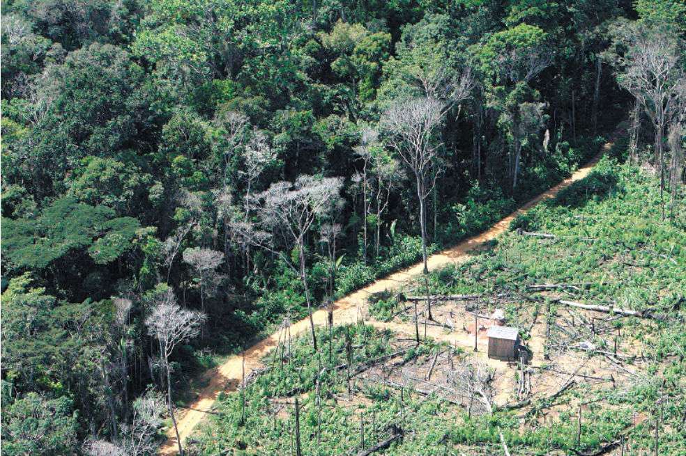 La Amazonia abarca 5,5 millones de kilómetros cuadrados en nueve países latinoamericanos. / Reuters