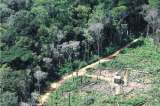 Lo que Brasil le puede enseñar a Colombia para no deforestar el Amazonas