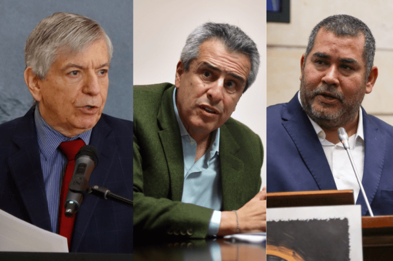 Los liberales se juegan la dirección del partido en una convención de 48 horas