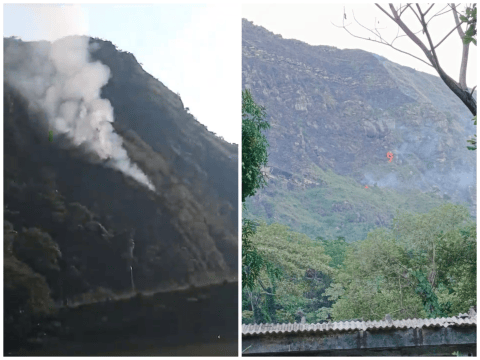 Piden apoyo para atender incendio forestal en Prado, Tolima