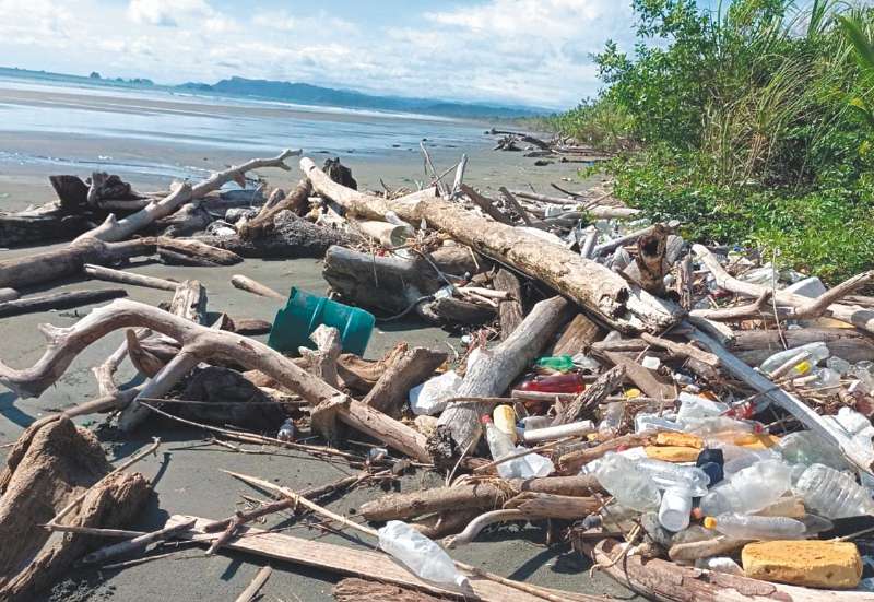 El oleaje desentierra la basura atrayendo insectos, aves de rapiña y llevando residuos al mar. / Foto: cortesía Personería de Nuquí.