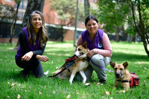 Emotican: la unión entre la psicología y el amor por los perros
