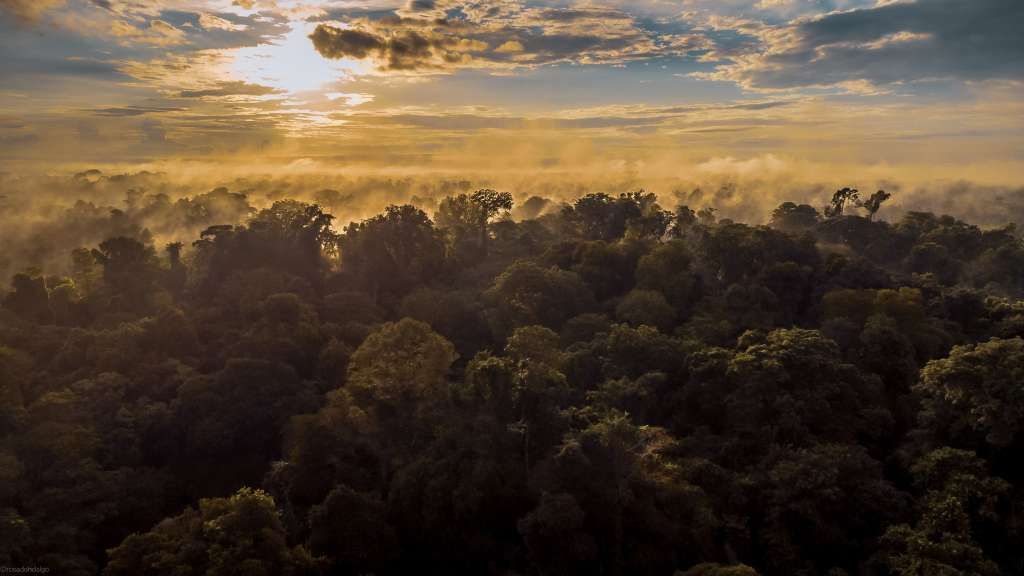 Panorámica del bosque húmedo tropical que alberga la Reserva El Silencio en el Magdalena Medio.