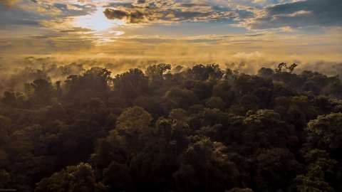 Destruimos el bosque del Magdalena Medio, pero aún queda este “oasis”