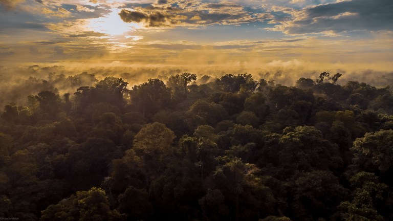 Destruimos el bosque del Magdalena Medio, pero aún queda este “oasis”