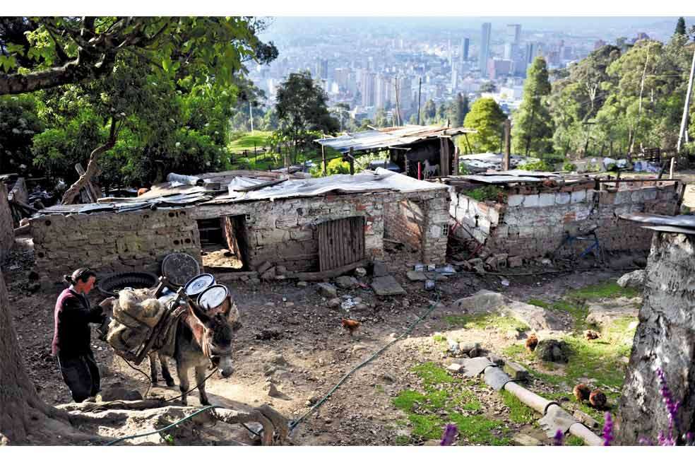 En el ocaso de cada día, María alista su burro para bajar al centro de la ciudad, donde recoge las lavazas de los restaurantes y vende frutas cultivadas en la vereda.