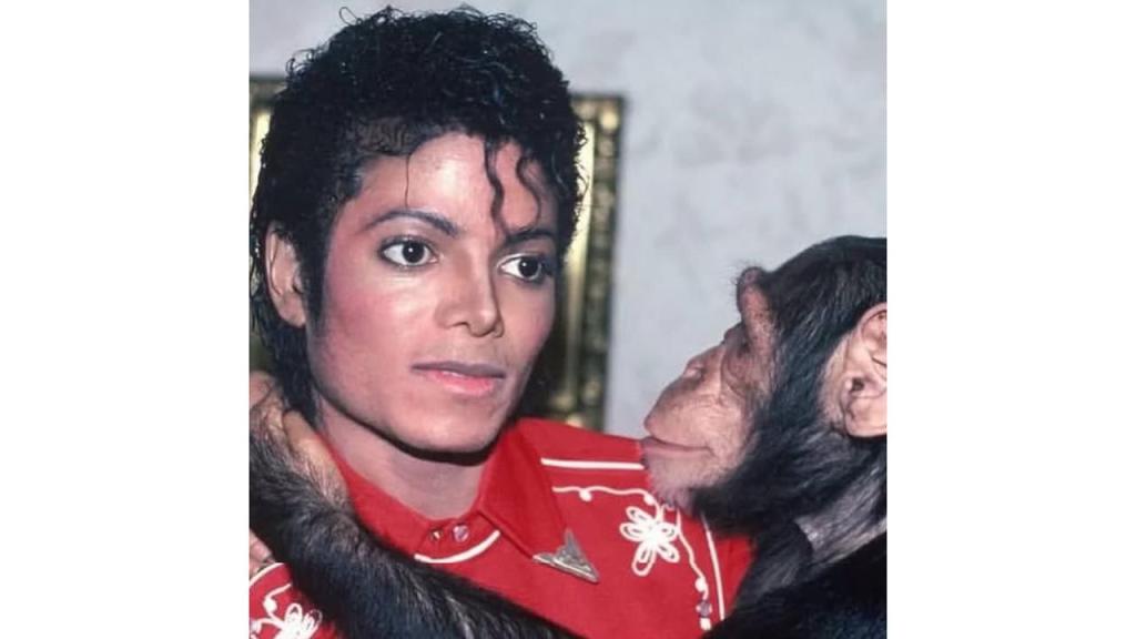 ¿Qué pasó con Bubbles, el chimpancé de Michael Jackson? Así es su vida lejos de los Jackson