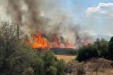 Emergencia en Canadá: cientos de personas evacuadas por incendio forestal