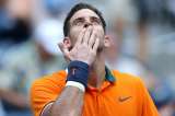 Del Potro avanzó y Murray quedó fuera del US Open