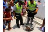 Rescatan a mono en vía de extinción en Cartagena