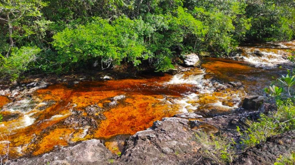 En Pozos Naturales aguas de varios colores fluyen a través de pozos y grutas subterráneas labradas sobre la roca.
