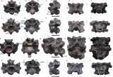 Descubren serpiente prehistórica que estaría entre las más largas del mundo