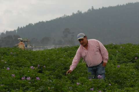 “El final del conflicto armado implica grandes cambios”: Reyes