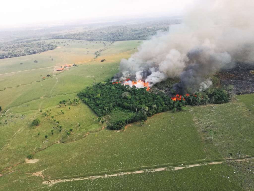 Frenar la ampliación de la frontera agropecuaria por medio de la devastación de la selva tiene que ser una prioridad nacional. / Carolina Rodríguez