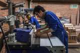 Contra el tráfico ilegal de madera desde un computador