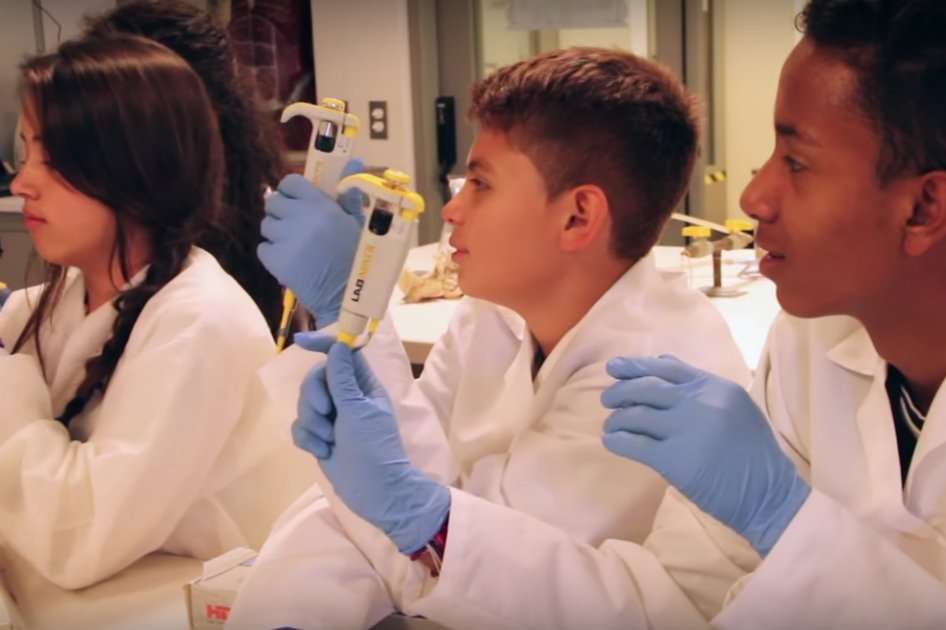 Los cursos abordarán temas como fuentes alternas de energía, nuevos materiales poliméricos, diversidad microbiana, microscopía de fluorescencia o cómo se forma el color. /Cortesía
