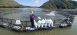 Culminó con éxito la feria que promueve la innovación tecnológica en la pesca