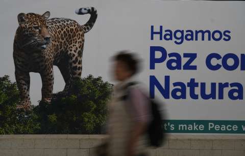 Ya pasó la COP16, en Colombia. ¿Y ahora qué?