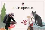 La vida secreta de los animales de carretera | Entrespecies