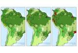 Última actualización de la fiebre amarilla en América: 184 casos en 2025