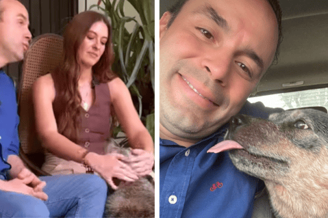 Alejandro Eder y Taliana Vargas perdieron a su fiel compañera perruna: “Descansa en paz”