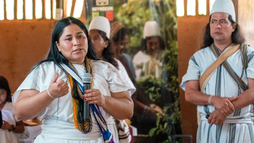 Sin intermediarios: ADR impulsa exportaciones arhuacas de café y cacao a Europa
