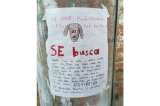 El tierno retrato hecho a mano con el que un niño encontró a su mascota