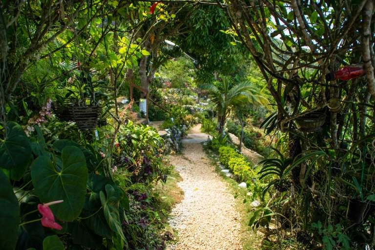 Ahhh Ras Natango Garden & Gallery