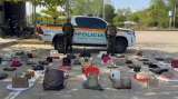 Hallazgo en Córdoba: sacrificaron 62 animales para fabricar bolsos