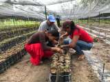 Día Internacional de la Juventud: las apuestas de la juventud rural de Colombia
