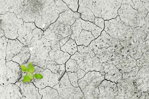 Un Nobel alrededor del crecimiento económico y el cambio climático