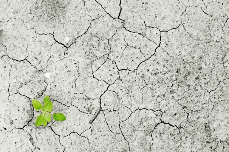 Un Nobel alrededor del crecimiento económico y el cambio climático