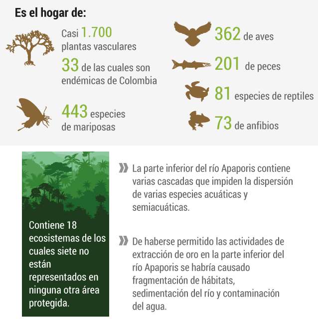 Biodiversidad de la zona.