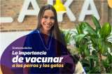 ¡Si te lo perdiste! Revive el evento exclusivo para tus mascotas