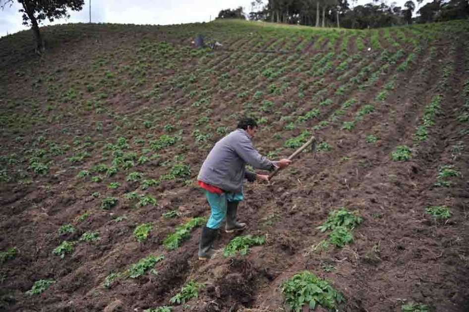 El plan de desarrollo de la ZRC fue financiado con recusos distritales, del gobierno local y de cooperación. / David Campuzano - El Espectador