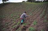 En ascuas por la zona de reserva campesina