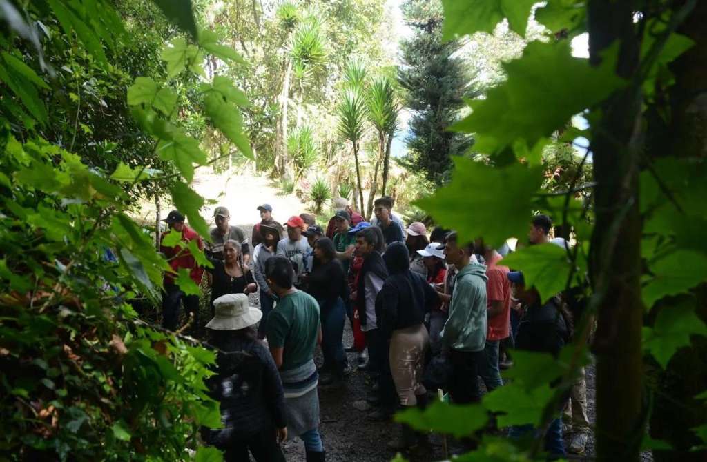 La entidad botánica hace proyectos mancomunados con el Instituto Tecnológico de Putumayo, la Universidad de Nariño y el Sena.
