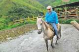 Alfredo Molano Bravo: testigo y caminante