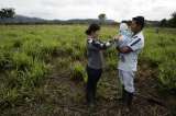 Exguerilleros de las FARC y campesinos se gradúan de técnicos agropecuarios