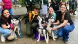 Así se vivió la tercera gran caminata de animales de Sincelejo