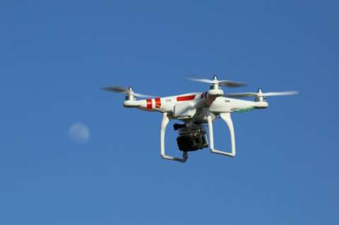Scotland Yard considera empleo de águilas adiestradas para interceptar drones