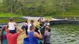 Piscícola de la Montaña, el proyecto en el que trabajan 41 exguerrilleros en Antioquia