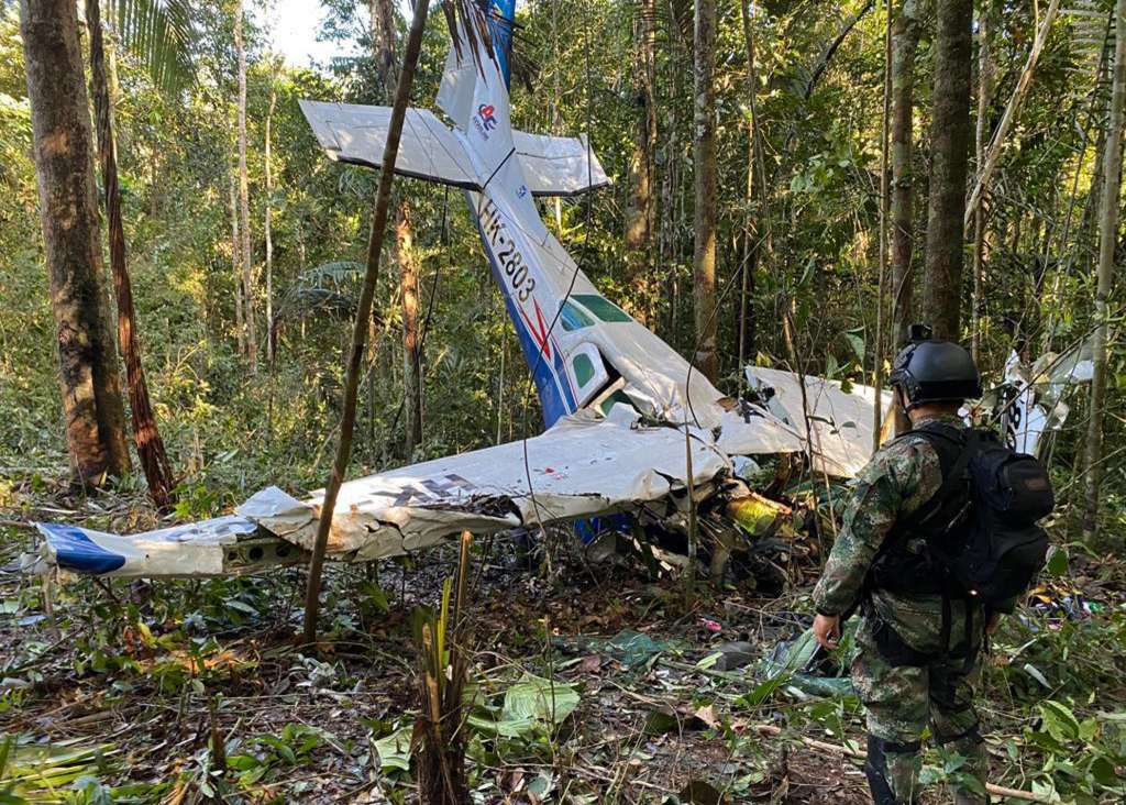 De acuerdo con la Defensa Civil, la desaparición de la aeronave se dio luego de que el piloto de la aeronave reportara fallas en el motor. La búsqueda en la selva se focalizó desde el pasado martes 16 de mayo, cuando se encontraron los restos del vehículo y de los tres adultos que también se movilizaban en él.