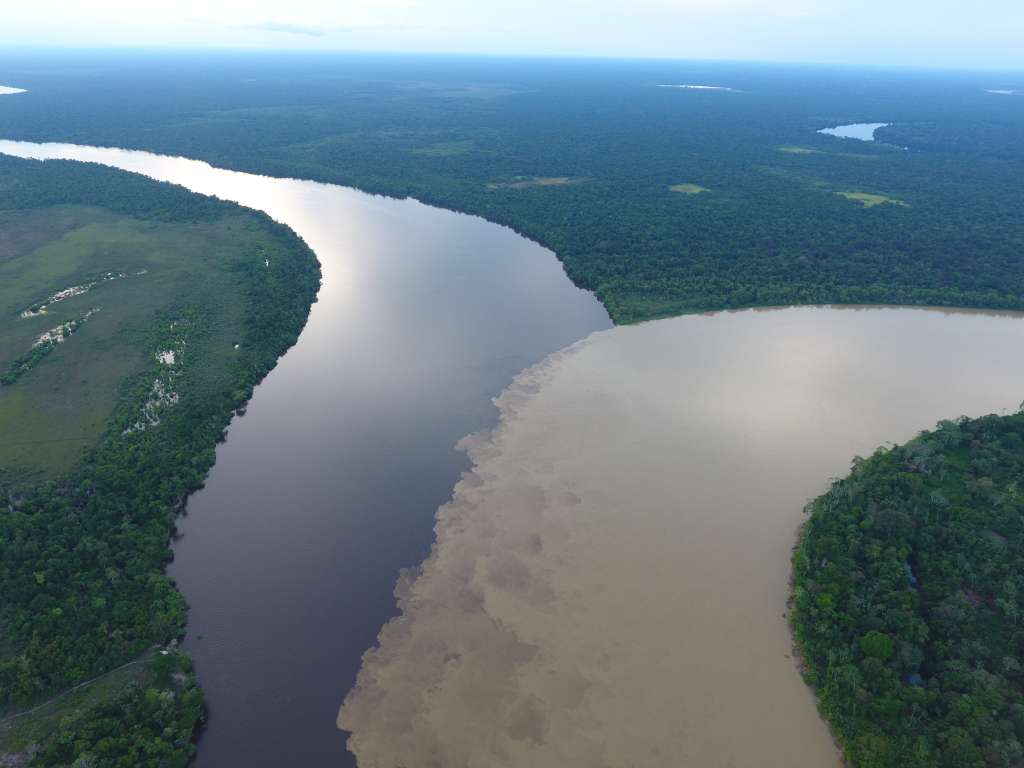 La Estrella Fluvial de Inírida es uno de los ecosistemas más excepcionales de Colombia.