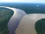 Estrella Fluvial del Inírida Humedal Ramsar, la magia de un destino escondido