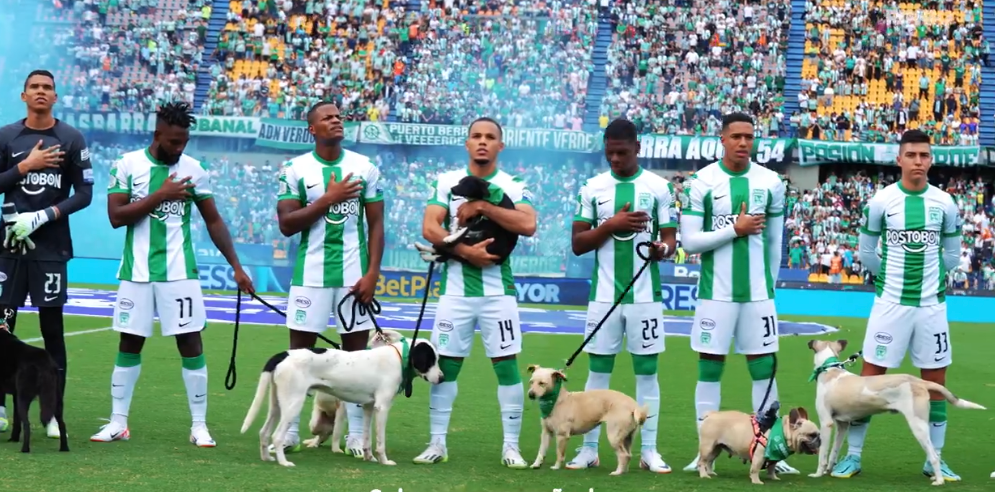 Por medio de una campaña, en la que participan Ringo y el Atlético Nacional, se espera ayudar a perros de fundaciones.