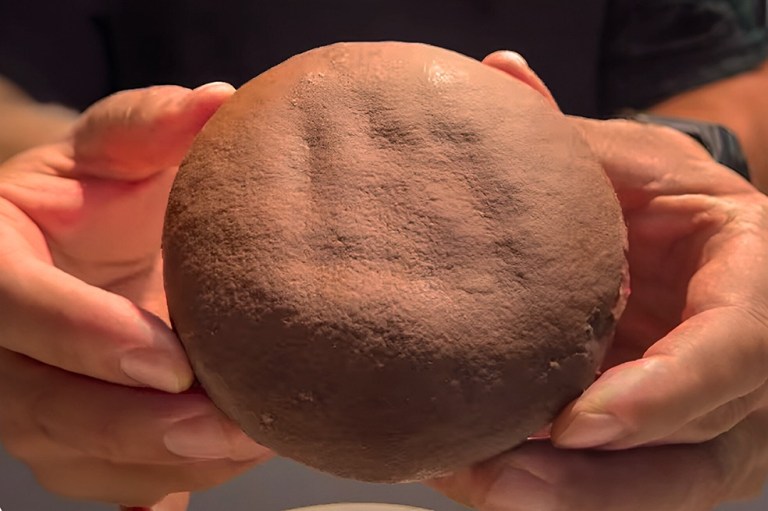 Esta es la receta tradicional para hacer galleta “cuca” colombiana